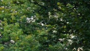 Photo courtesy of Urbano Street