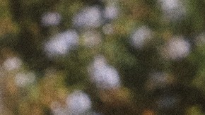 Photo courtesy of artist.