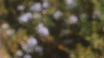 Photo courtesy of artist.