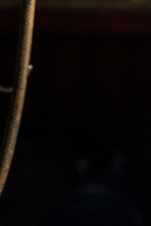 Courtesy of RLJE Films