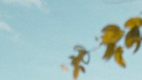 Courtesy of LIMBEL CITY.