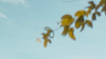 Courtesy of LIMBEL CITY.