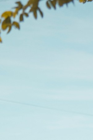 Courtesy of LIMBEL CITY.