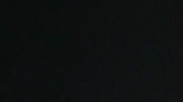 A USPS postal worker wears a face mask amid the COVID-19 pandemic in hard-hit Imperial County on July 21, 2020 in El Centro, California. Photo by Mario Tama/Getty Images