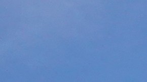 Demonstrators protest near the Wisconsin Center as the Democratic National Convention (DNC) continues on its final day on August 20, 2020 in Milwaukee, Wisconsin. Photo by Scott Olson/Getty Images
