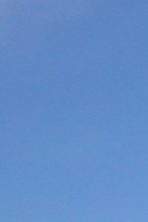 Demonstrators protest near the Wisconsin Center as the Democratic National Convention (DNC) continues on its final day on August 20, 2020 in Milwaukee, Wisconsin. Photo by Scott Olson/Getty Images