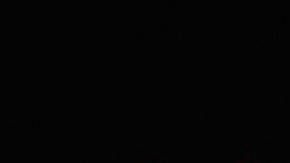 Actress Zoe Saldana arrives at the Premiere Of Warner Bros. Pictures' "Live By Night" at TCL Chinese Theatre on January 9, 2017 in Hollywood, California.  Photo by Frazer Harrison/Getty Images