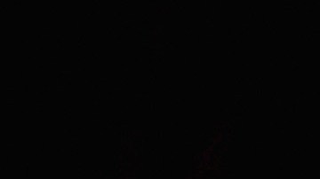 Actress Zoe Saldana arrives at the Premiere Of Warner Bros. Pictures' "Live By Night" at TCL Chinese Theatre on January 9, 2017 in Hollywood, California.  Photo by Frazer Harrison/Getty Images