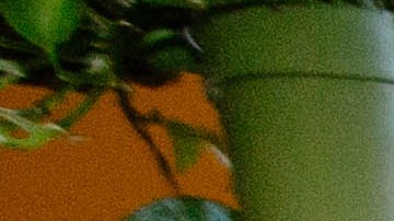 Photo by Andrea Campos for Remezcla