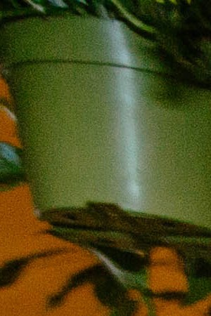 Photo by Andrea Campos for Remezcla