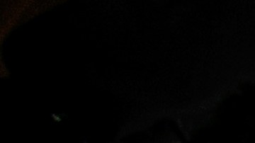 Photo by Mariana-Reyes. Courtesy of the artist.