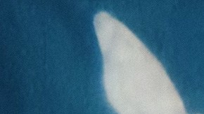 Screenshot from Princess Nokia - I Like Him Music Video