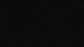 Courtesy of William Morrow and Company