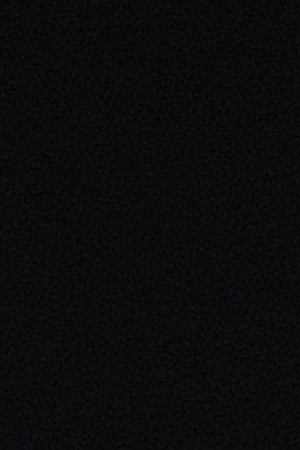 Courtesy of William Morrow and Company