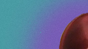 header-cardi-joe-biden