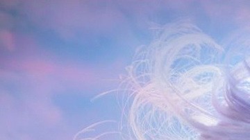 Photo courtesy of the artist.