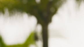 Photo courtesy of the artist.