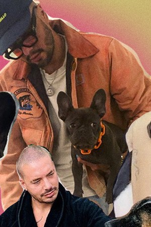 Art by Stephany Torres for Remezcla