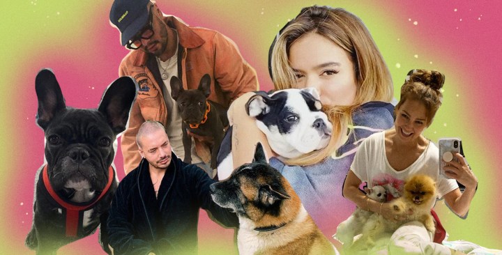 Art by Stephany Torres for Remezcla