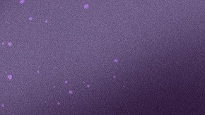 Art by Stephany Torres for Remezcla