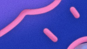 Art by Stephany Torres for Remezcla