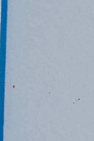 Photo by Becca Baughman.