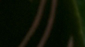 Courtesy of Aiden Thomas