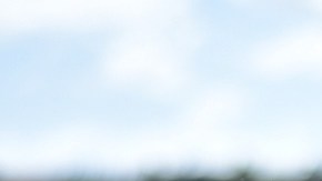 Photo courtesy of The Syndicate.