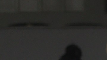 A staff member stands guard among students who take their UNAM admission exam while following the preventive measuress to avoid Covid-19 at Olimpico Universitario Stadium on August 19, 2020 in Mexico City, Mexico. Photo by Hector Vivas/Getty Images