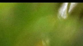 A child wearing a protective mask holds an American Girl doll during Phase 4 of re-opening following restrictions imposed to slow the spread of coronavirus on September 7, 2020 in New York City. The fourth phase allows outdoor arts and entertainment, sporting events without fans and media production. Photo by Cindy Ord/Getty Images