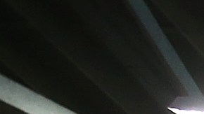 Customers shop for flowers at the San Francisco Flower Mart on August 29, 2014 in San Francisco, California. The future of more than 100 flower businesses at the historic San Francisco Flower Mart hangs in the balance as Los Angeles based realty group Kilroy Realty Corp. is planning on purchasing the Flower Mart property. Kilroy has proposed a plan to build a tech campus on the site. Photo by Justin Sullivan/Getty Images