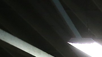 Customers shop for flowers at the San Francisco Flower Mart on August 29, 2014 in San Francisco, California. The future of more than 100 flower businesses at the historic San Francisco Flower Mart hangs in the balance as Los Angeles based realty group Kilroy Realty Corp. is planning on purchasing the Flower Mart property. Kilroy has proposed a plan to build a tech campus on the site. Photo by Justin Sullivan/Getty Images