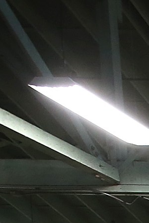 Customers shop for flowers at the San Francisco Flower Mart on August 29, 2014 in San Francisco, California. The future of more than 100 flower businesses at the historic San Francisco Flower Mart hangs in the balance as Los Angeles based realty group Kilroy Realty Corp. is planning on purchasing the Flower Mart property. Kilroy has proposed a plan to build a tech campus on the site. Photo by Justin Sullivan/Getty Images