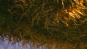 Hyra. Courtesy of the artist.