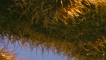 Hyra. Courtesy of the artist.