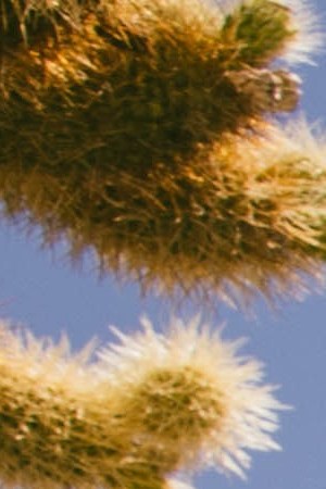 Hyra. Courtesy of the artist.