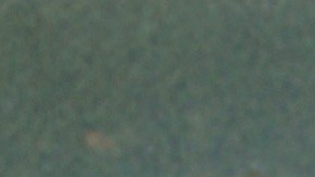 Photo by Persan. Courtesy of the artist.