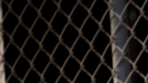 Photo by Mike Miller. Courtesy of the artist.