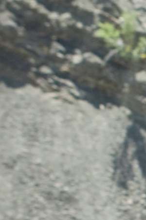 Courtesy of Universal Pictures