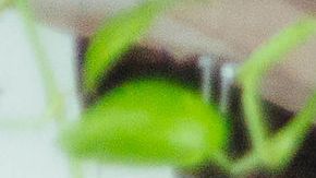 Photo by Andrea Campos for Remezcla