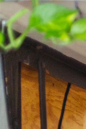 Photo by Andrea Campos for Remezcla