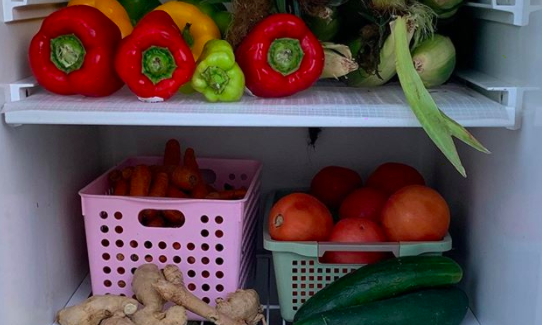 Community Fridges: Mutual Aid in the US to Fight Food Insecurity