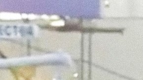 bad bunny bus concert