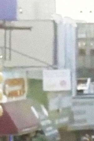 bad bunny bus concert