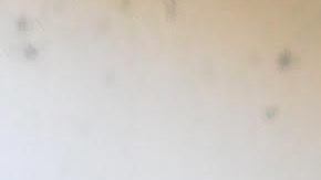 Courtesy of the artist