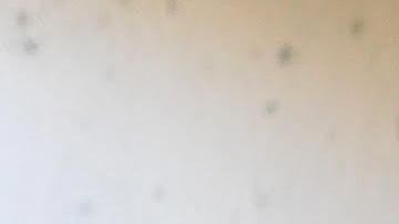 Courtesy of the artist