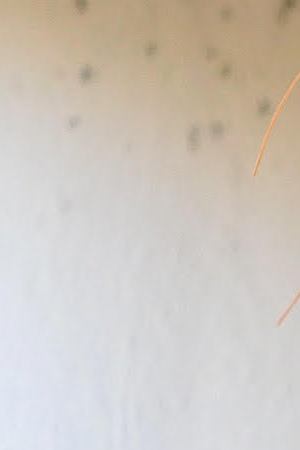 Courtesy of the artist