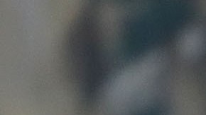 Barbara Lagoa speaks as newly sworn-in Gov. Photo by Joe Raedle/Getty Images