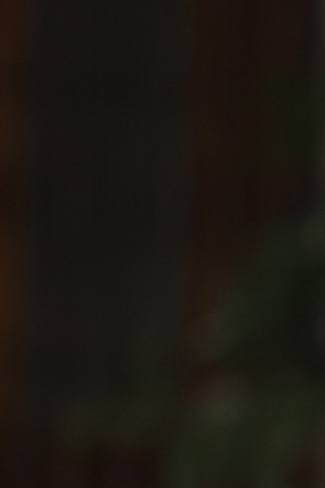 María Martínez Ceferino, mother of the disappeared Miguel Ángel Hernández Martínez, speaks to the president during the Ayotzinapa case report at Palacio Nacional on September 26, 2020 in Mexico City, Mexico. Photo by Hector Vivas/Getty Images.