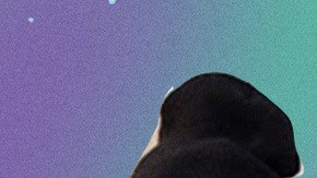 Art by Stephany Torres for Remezcla